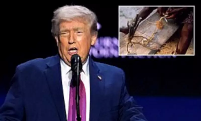 Trump Plans Executive Order to Boost Psychedelic Research for Mental Health