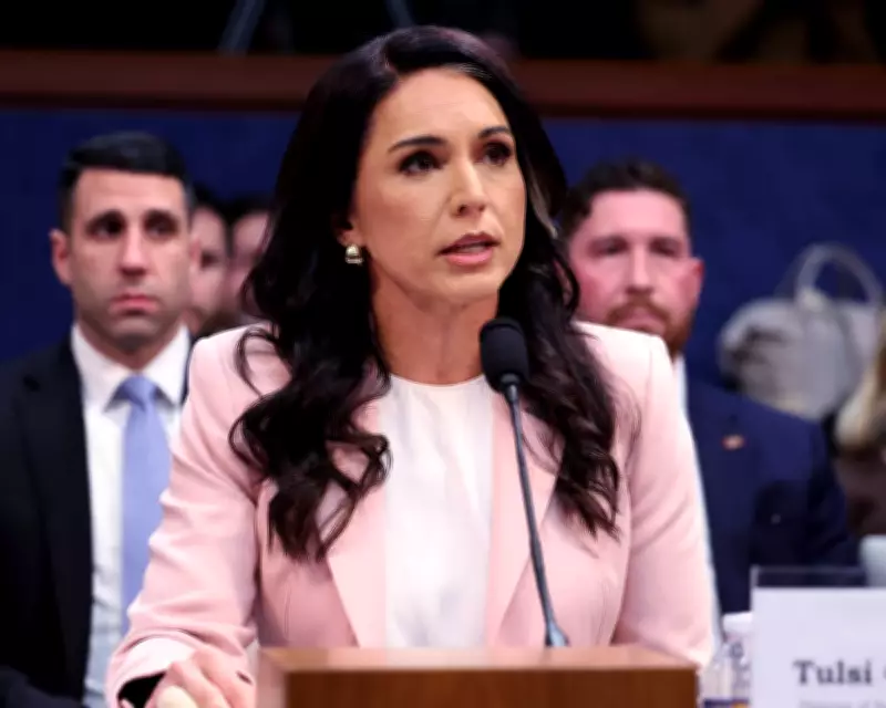 Trump Polls Advisers on Replacing Intelligence Chief Tulsi Gabbard