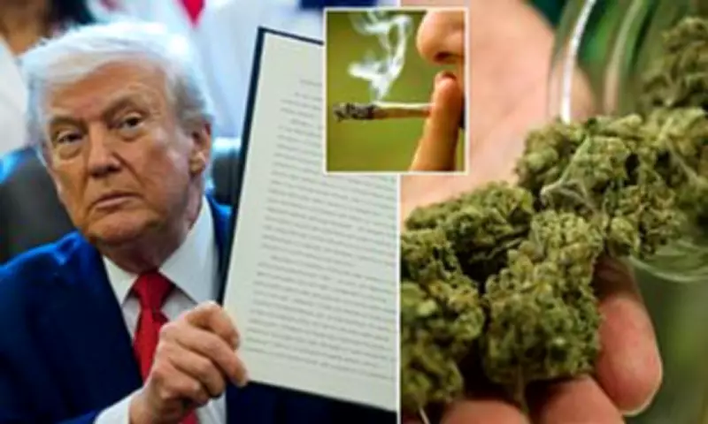 Trump Reclassifies Cannabis, Expanding Medical Marijuana Access