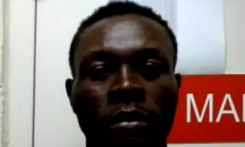 Trump Shares Horrific Video of Alleged Immigrant Hammer Attack in Florida