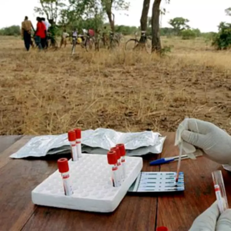 Trump Ultimatum to Zambia: Mineral Rights or Health Funding Cut