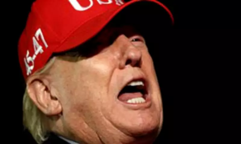 Trump Weighs Limited Strikes on Iran Amid Hormuz Blockade Plans