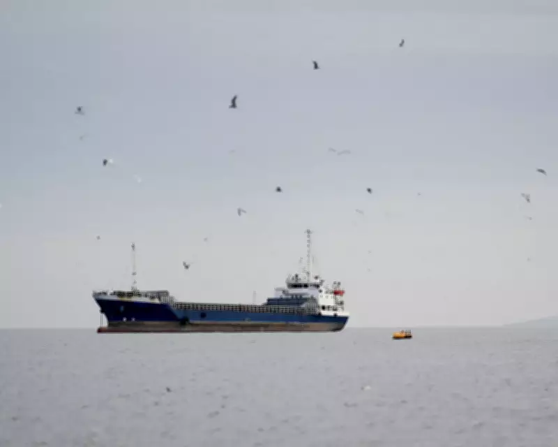 Trump's Hormuz Blockade Sparks Oil Price Surge and Global Tensions