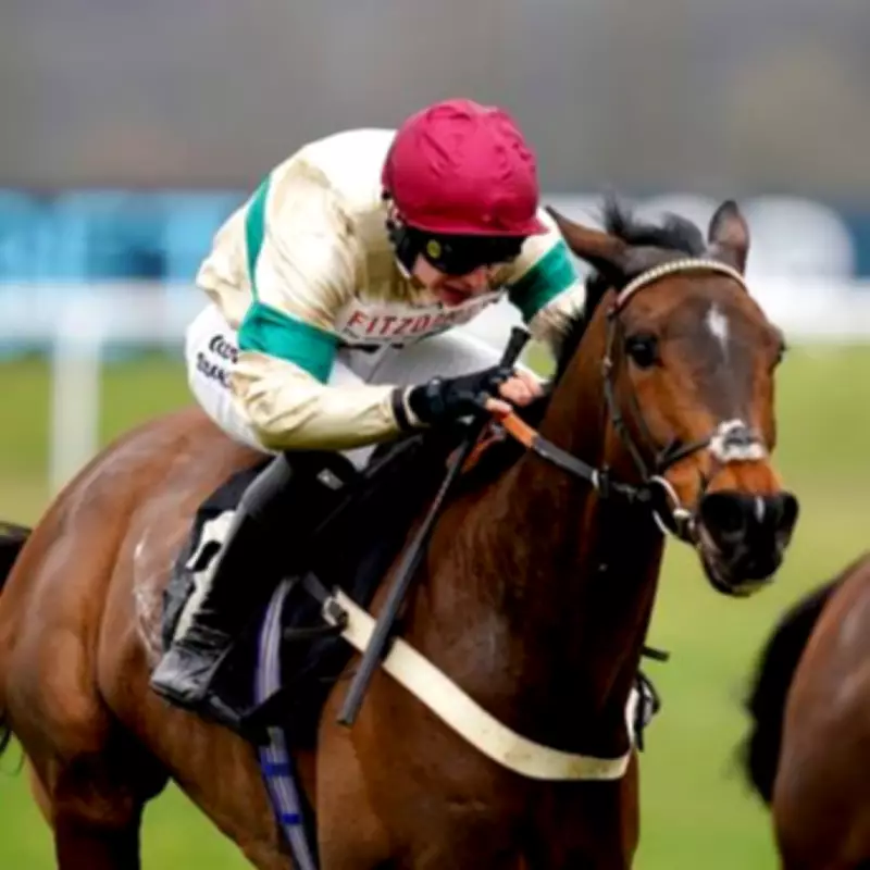 Twig's 'Bonkers' £1 Million Grand National Bonus Quest at Aintree