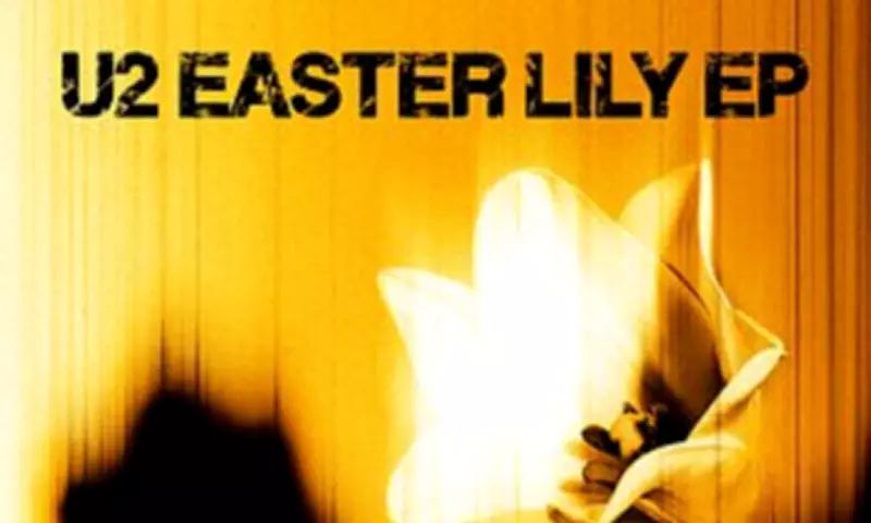 U2's Easter Lily EP: A Reflective Journey Through Friendship and Loss