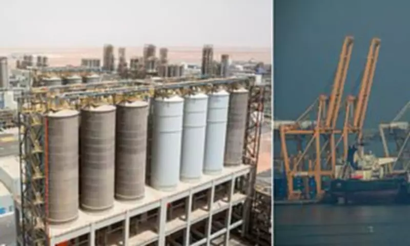 UAE quits OPEC amid tensions with Saudi Arabia, seeks production flexibility