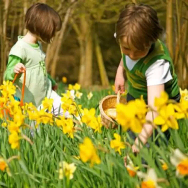 UK Bank Holidays 2026-2028: Full List of Confirmed Dates for England, Wales, Scotland & NI