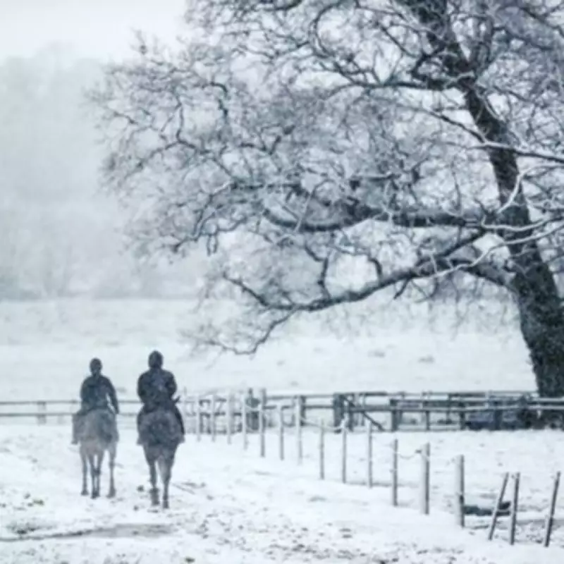 UK Braces for -4C Arctic Blast in April as Snow Maps Predict Wintry Return