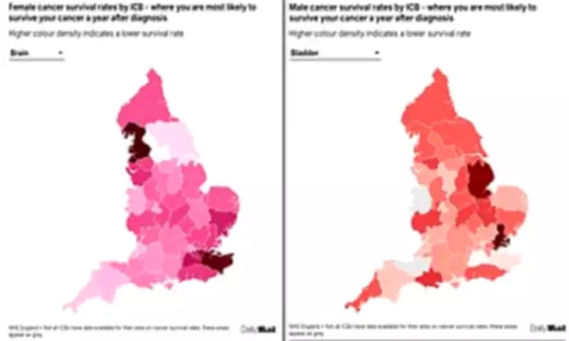 UK Cancer Survival Rates Reveal Stark Postcode Lottery, Deprivation Link