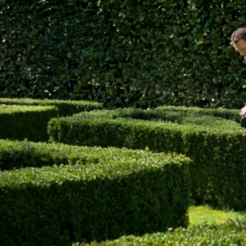 UK Homeowners Face £1,000 Fines for Overgrown Hedges Under Anti-social Behaviour Act