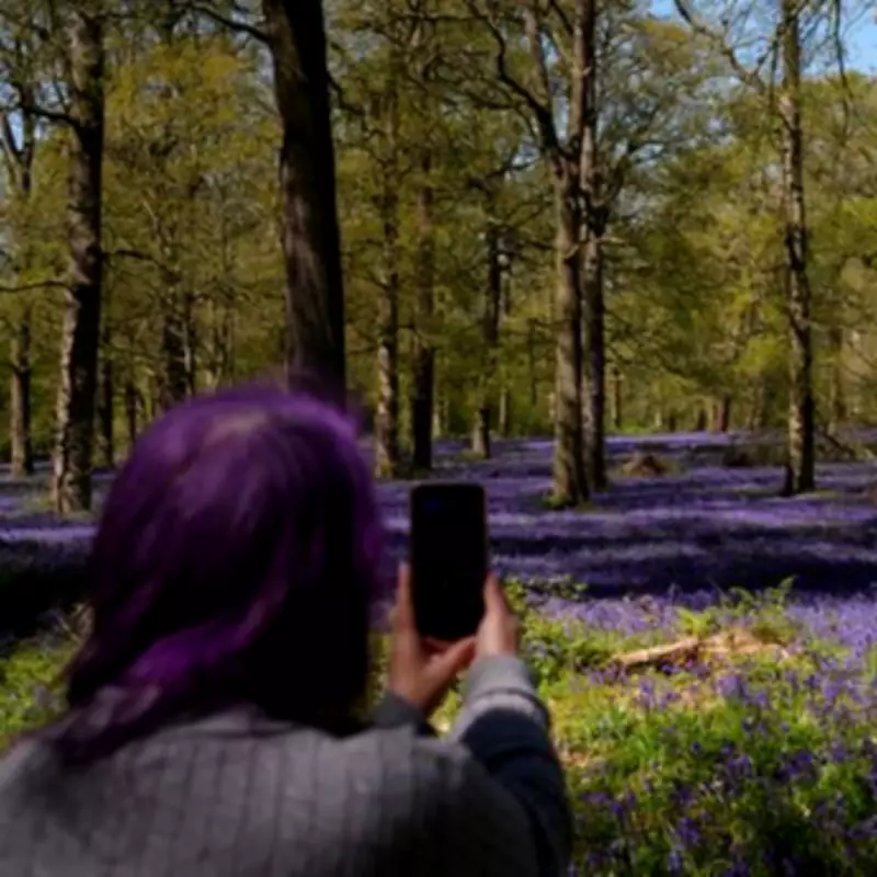 UK Set for 22C May Bank Holiday Heatwave: 21 Hottest Counties Revealed