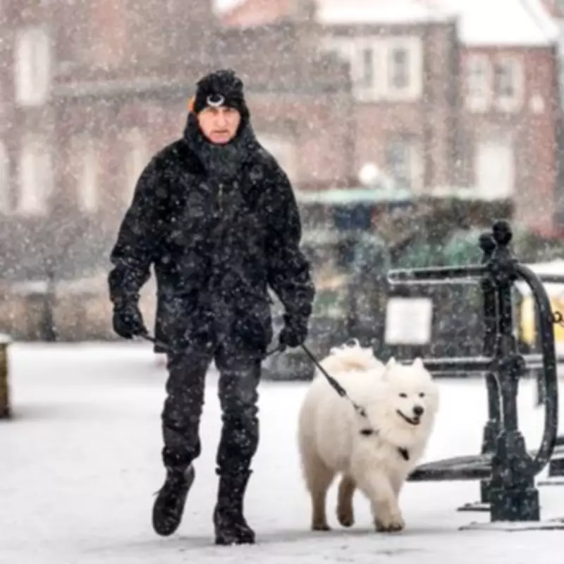 UK Snow Maps Show 84-Hour Blast Hitting 17 Counties Within Days