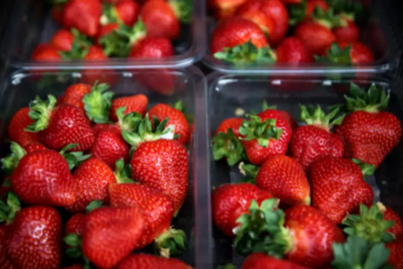 UK Strawberries Hit Shelves Early Thanks to Warm Weather