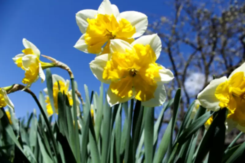 UK to bask in 23C heat this weekend, hotter than Ibiza and Nice