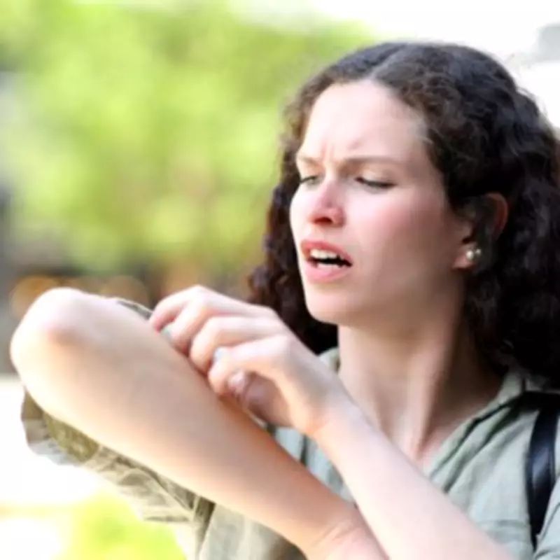 UKHSA Urges Brits to Guard Against Tick-Borne Lyme Disease Risks