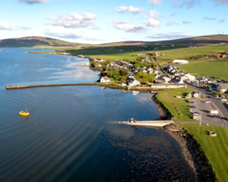UK's Largest Oyster Rewilding Project Aims to Revitalise North Sea Ecosystems