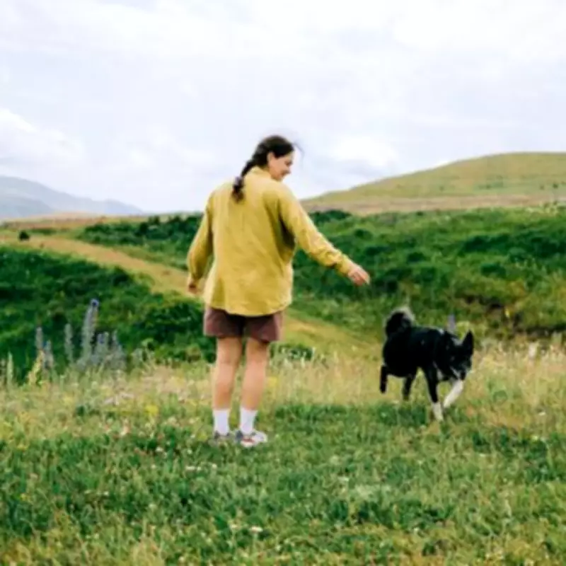 UK's Most Secluded Dog Walks Revealed: Stunning Views and Peaceful Trails
