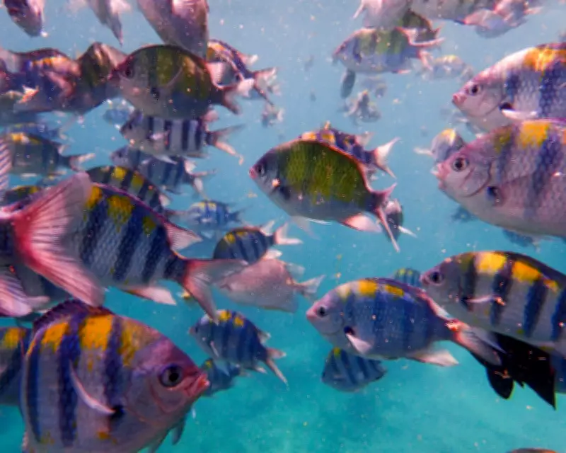 Under Water Review: A Debut Novel on Grief and Environmental Fragility