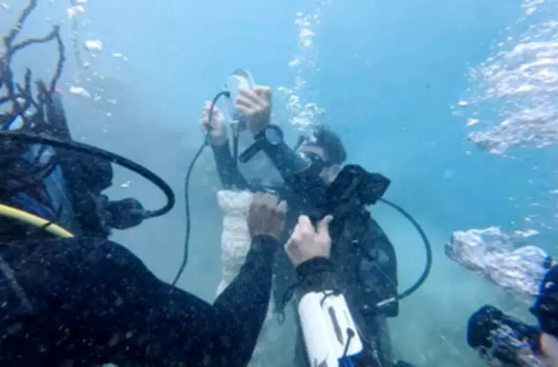 Underwater Speakers Play Healthy Reef Sounds to Revive Dying Coral in Jamaica