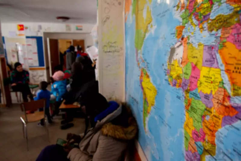 Universal Grammar Patterns Discovered Across 1,700+ Languages Worldwide