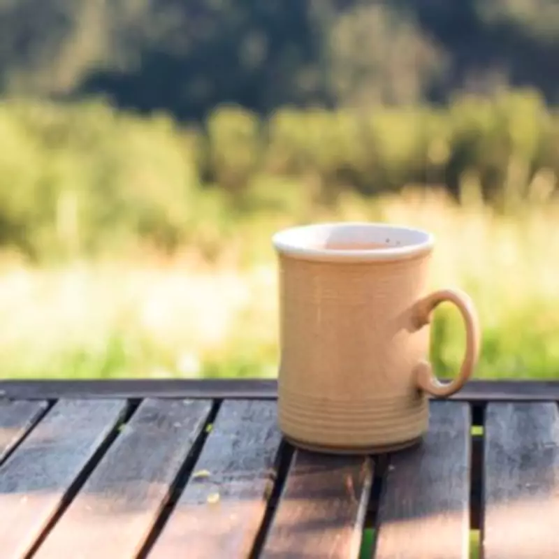 Upcycle Old Mugs into DIY Bird Feeders to Aid Garden Wildlife This Spring