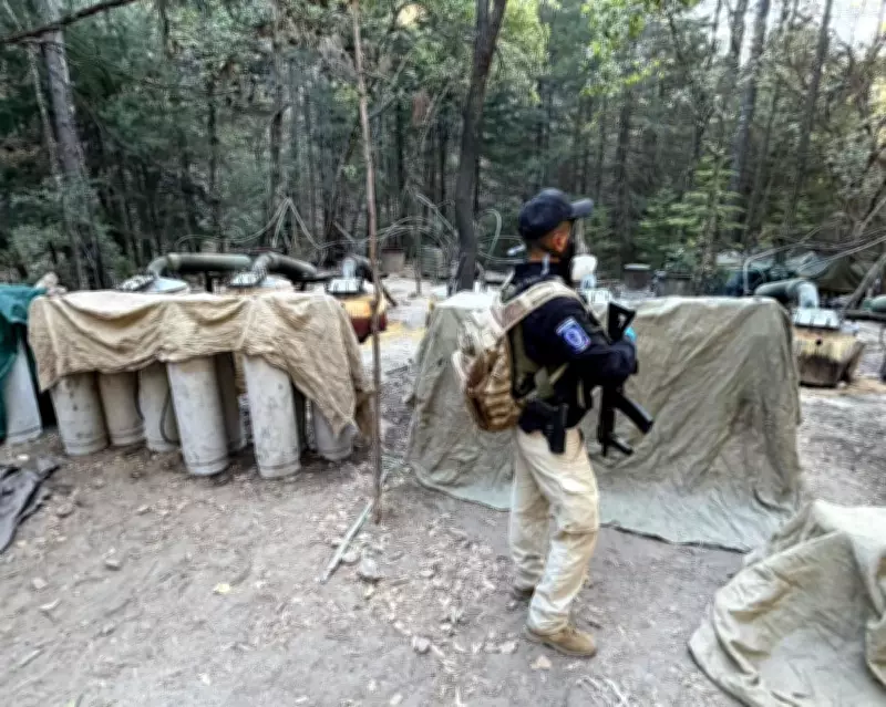 US and Mexican Officials Killed in Car Crash During Anti-Cartel Operation