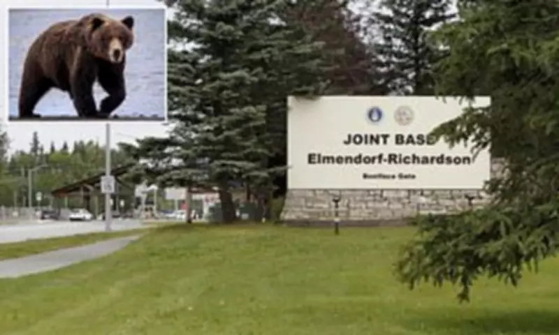 US Army Soldiers Seriously Injured in Brown Bear Attack During Alaska Training Exercise