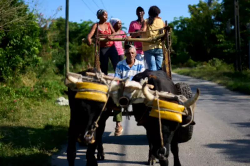 US Energy Blockade Devastates Cuban Farmers and Food Supply