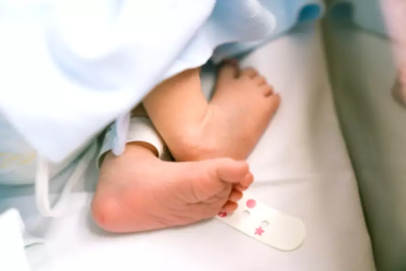 US Fertility Rate Plummets to Historic Low in 2025, Continuing Two-Decade Decline