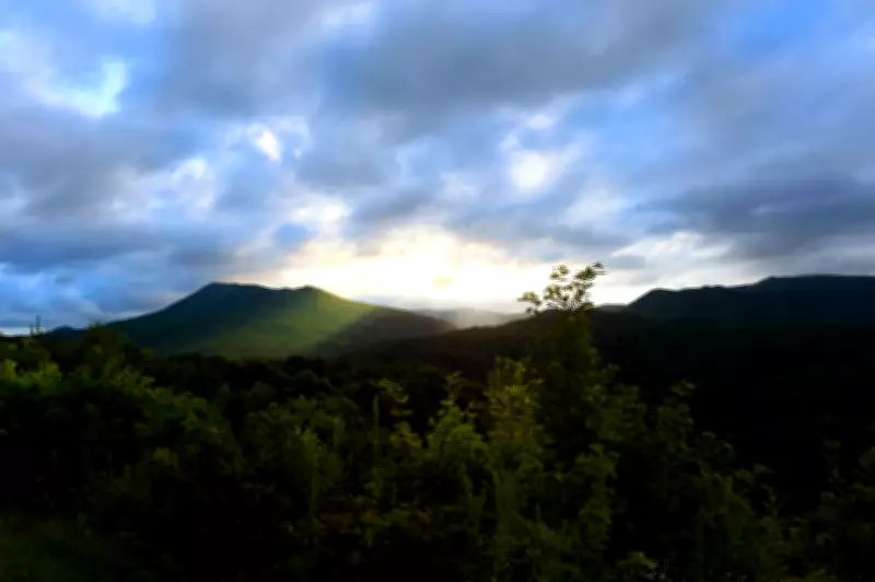 US Forest Service Overhaul Sparks Union Outcry Over 'Illegal' Restructuring