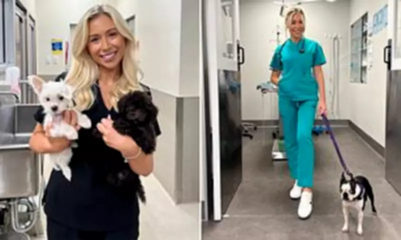 Vet Nurse Reveals Top and Worst Dog Breeds for Pet Owners