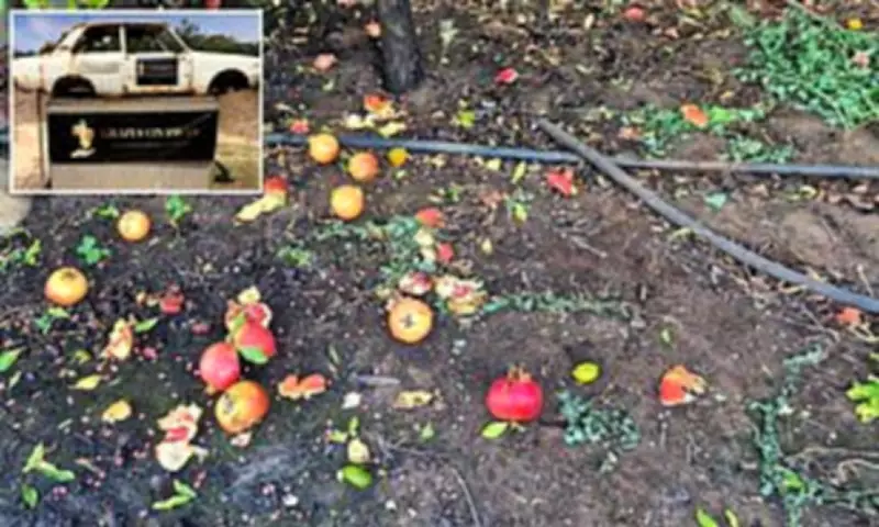 Vineyard Forced to End Pick-Your-Own After Visitors Destroy Hundreds of Kilograms of Fruit