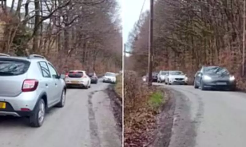 Viral TikTok Videos Cause Easter Gridlock at Welsh Forest Beauty Spot