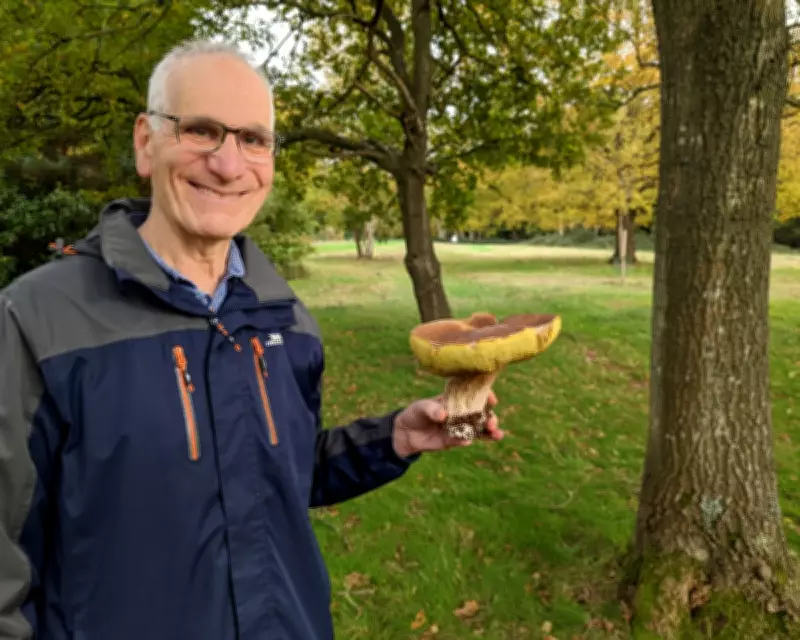 Virologist Robin Weiss, Pioneer of HIV Test and Research, Dies at 86