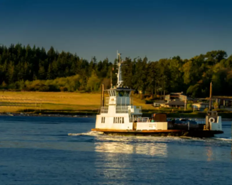 Washington Officials Confirm 21 Dead Foxes Used as Fishing Bait on Guemes Island