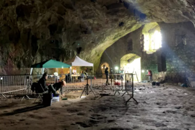 Welsh Castle Cave Reveals Hippo Past and Prehistoric Human Secrets