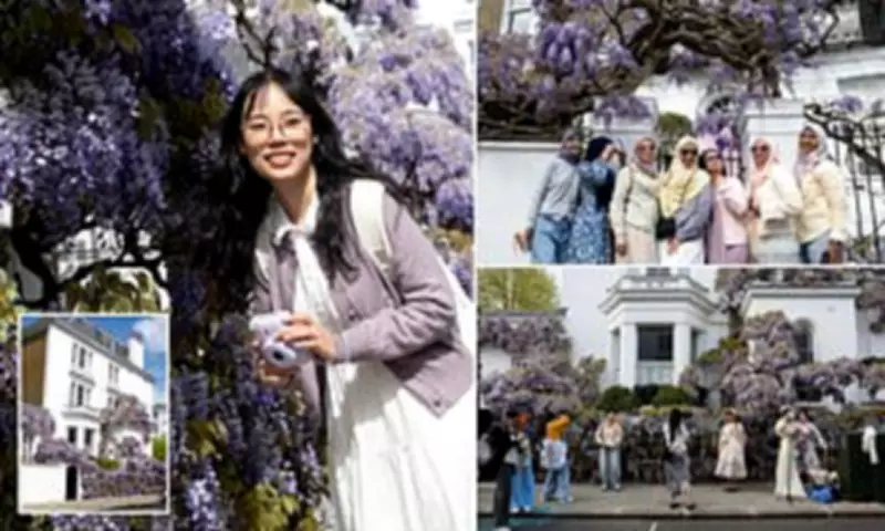 West London's Wisteria Craze: Influencers Descend on Million-Pound Homes