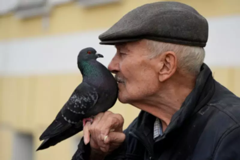 Why Urban Birds Are More Scared of Women Than Men: Mystery Baffles Scientists