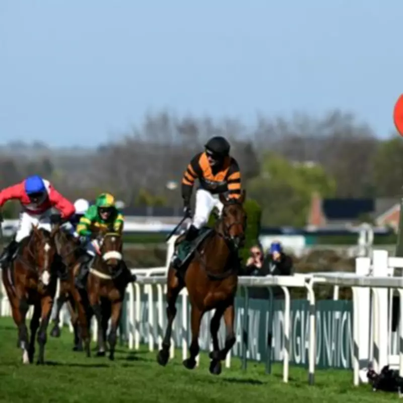 Willie Mullins' Assistant Reveals His Top Pick for the 2026 Grand National