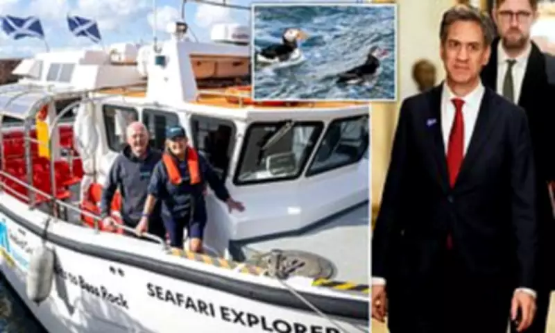 Wind Farm Threatens Scotland's Puffins and Seabird Colonies