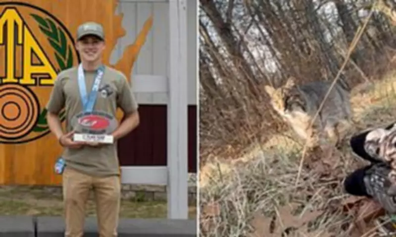 Wisconsin Hunter Attacked by Bobcat During Turkey Hunting Expedition