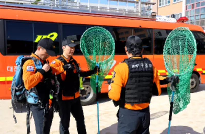 Wolf Escapes South Korean Zoo, Sparks Major Search and School Closure