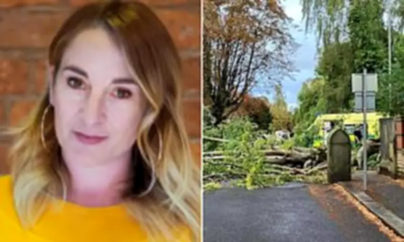 Woman Killed by Falling Tree Branch During Evening Walk in Manchester