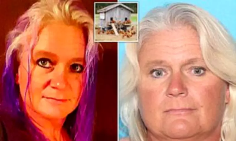 Woman Stabs Intruder in Chicken Coop Home During Alleged Burglary Attempt