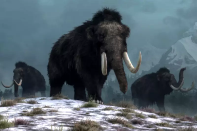 Woolly Mammoth Extinction Still Shapes Ecosystems 50,000 Years On
