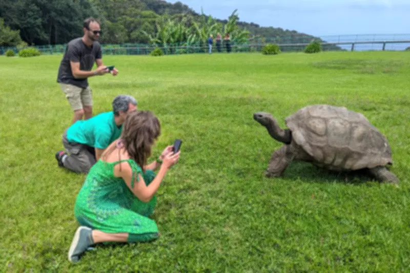 World's Oldest Tortoise Jonathan Alive Despite April Fools' Death Hoax