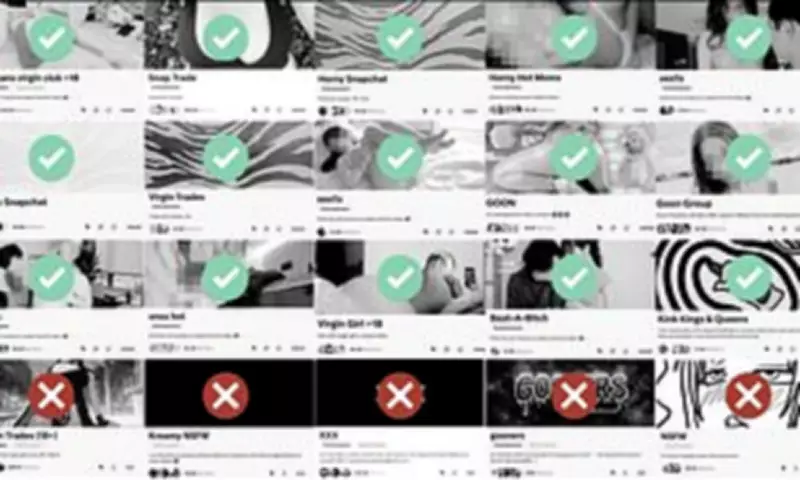 X Platform Exposes Children to Graphic Pornography, Study Reveals