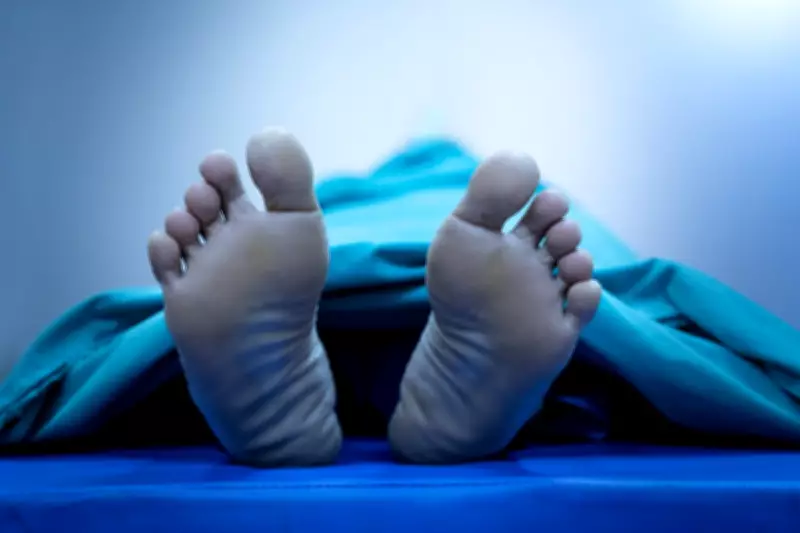 Zombie Filler: The Macabre US Trend Using Corpse Fat for Cosmetic Procedures