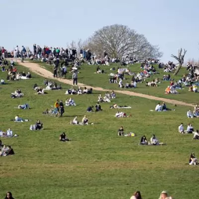 21-Year-Old Man Fatally Stabbed in Primrose Hill Fight, Second Victim Injured