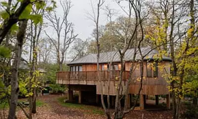 A Fairytale Family Escape: Inside Fairmont Windsor Park's New Treehouse Suites